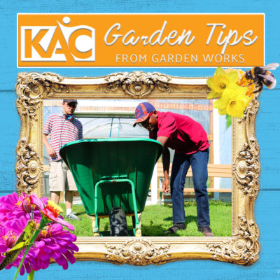 Garden-Tips-Thumbnail